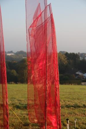 Rote Orgaza Banner